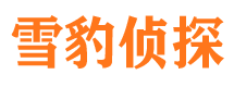 孟村调查公司